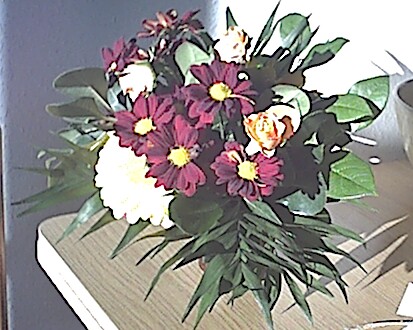 Celica Flowers