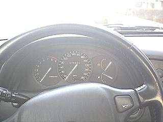 Mad speedo