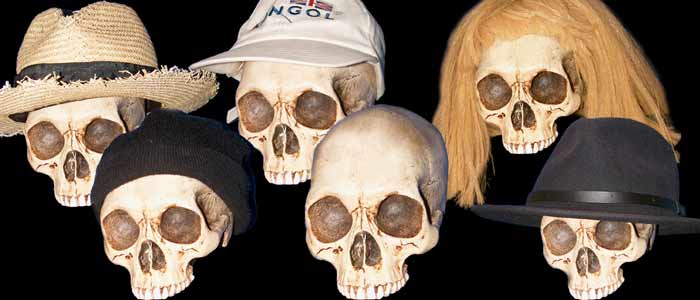 skull