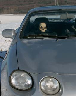 skull