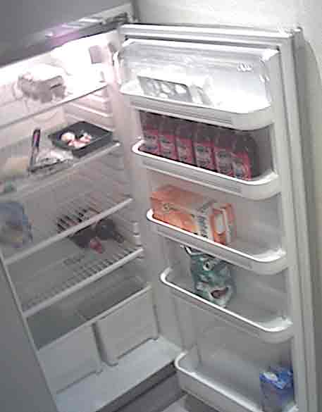 Fridge with only the essentials