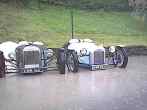 Morgans in a puddle