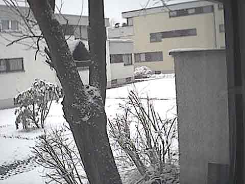 view of snow